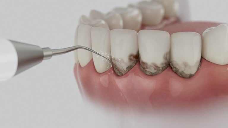 Reliable Dental contractor in Danville, AR by Dentist Open Now